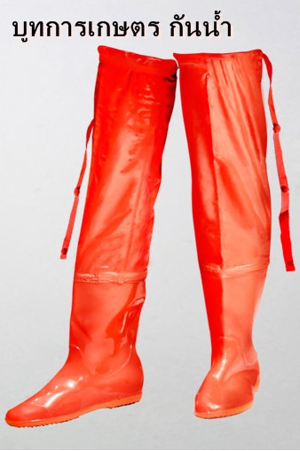 รองเท้าบู๊ทการเกษตร