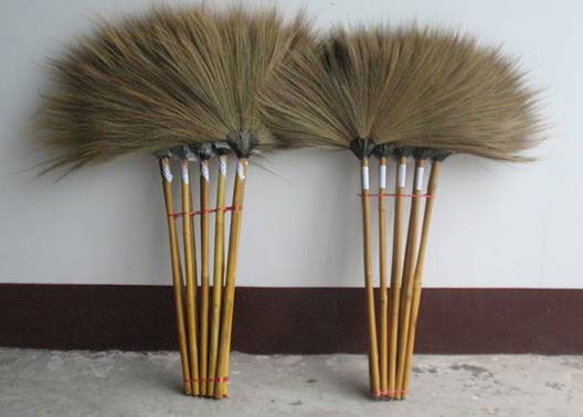 ไม้กวาดดอกหญ้า